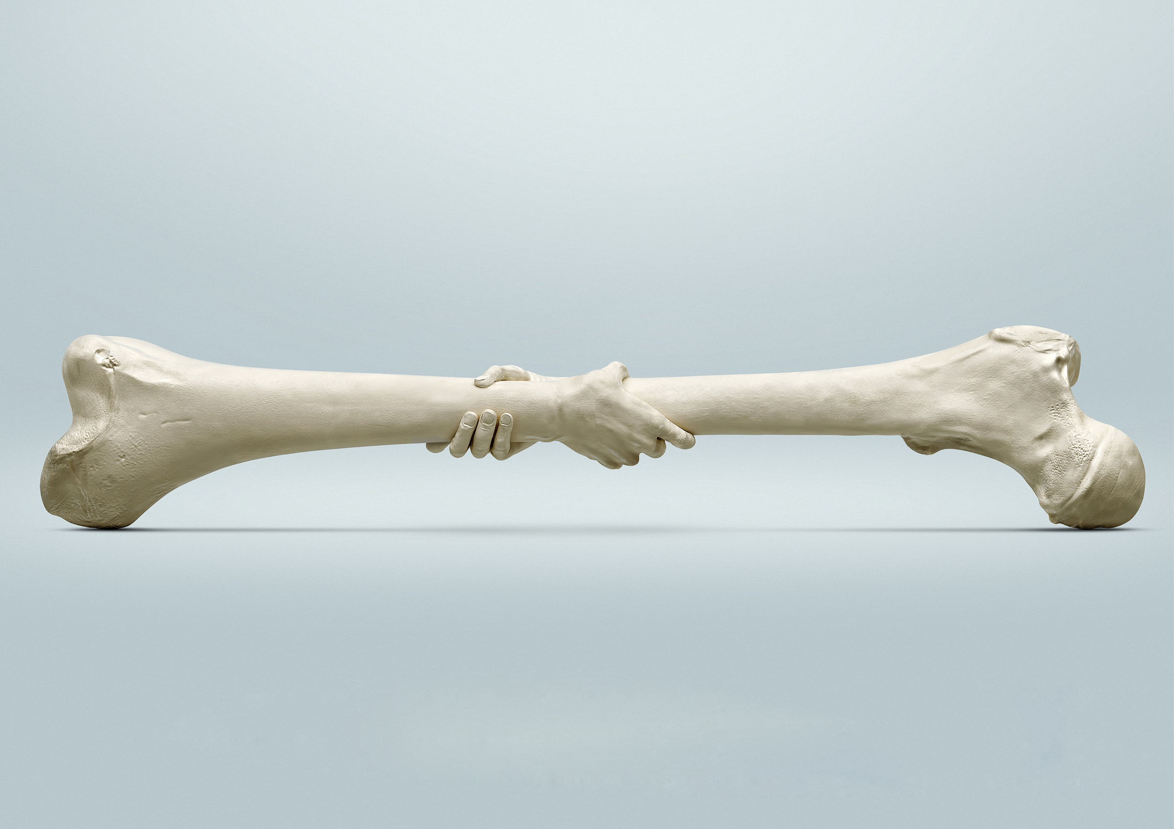 داروی گیاهی برای درمان پوکی استخوان